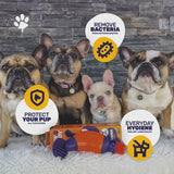 PawBuddy 2.0